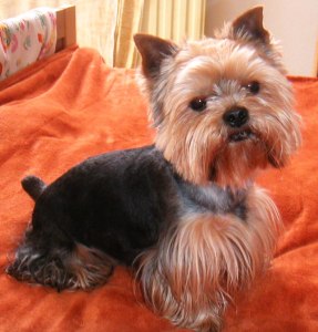 Charlie