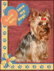 Alfík