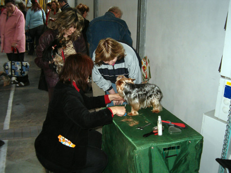 Paniko, pomc, vdy jsi kala, e sthn bude a ve stedu !!!