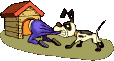 trhac.gif